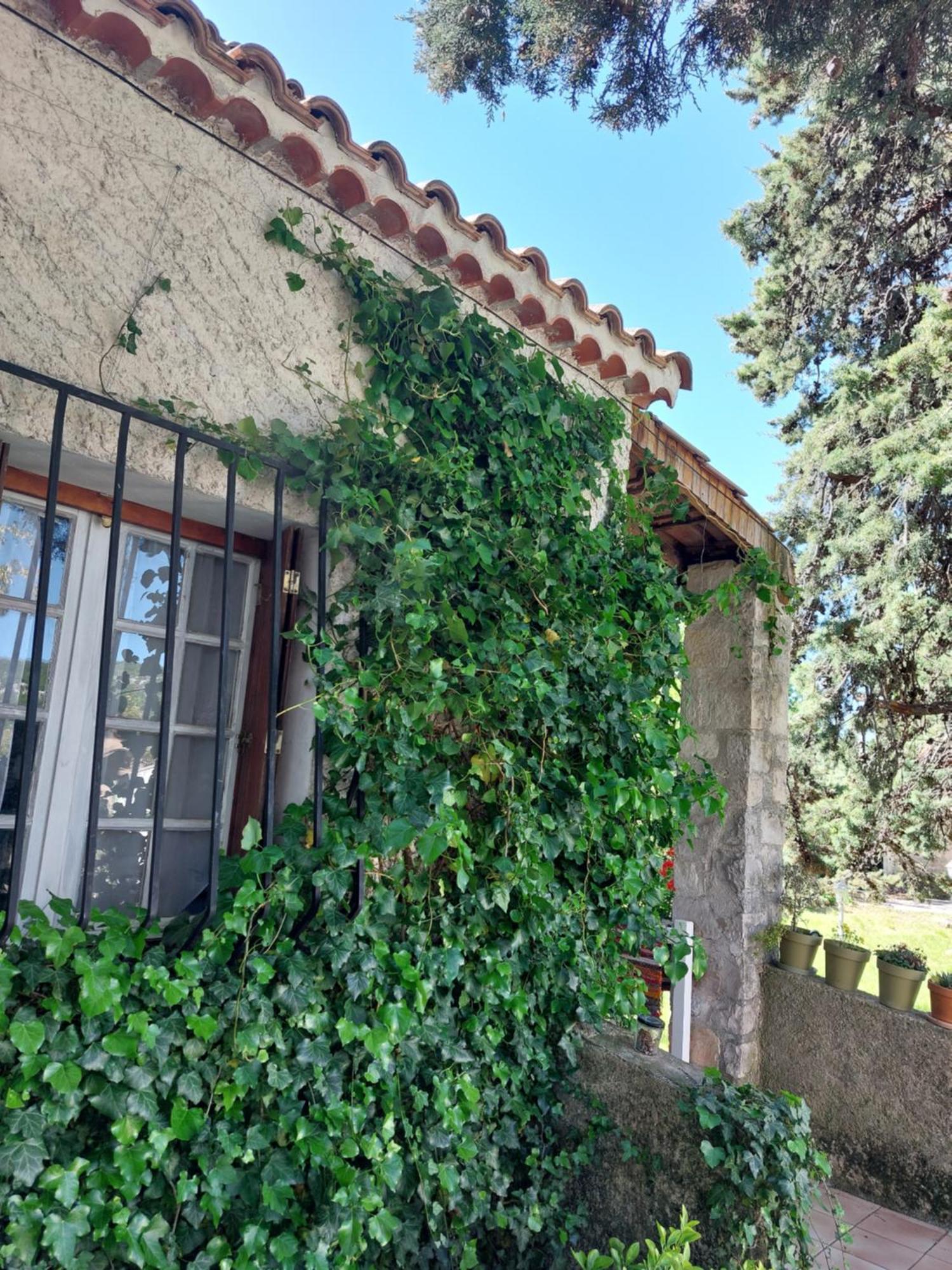 La Maison De Marie-Jeanne - Le Rocher D'Ongles Exterior photo